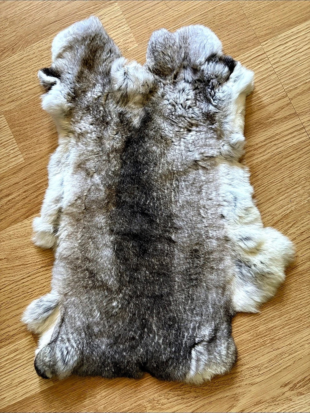 C0073 Rex rabbit hide craft supply